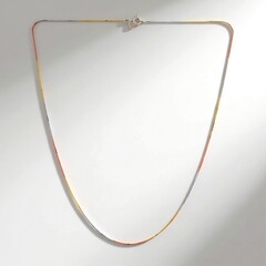 Collana in argento