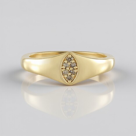 Anello in argento con Diamante Cioccolato I2