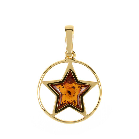 Zilveren hanger met een Baltische barnsteen (dagen)