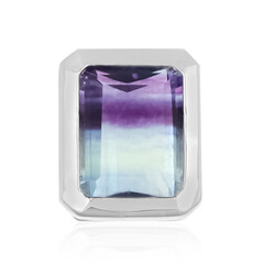 Ciondolo in argento con Fluorite Bicolore
