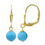 Arizona-Türkis-Silberohrringe