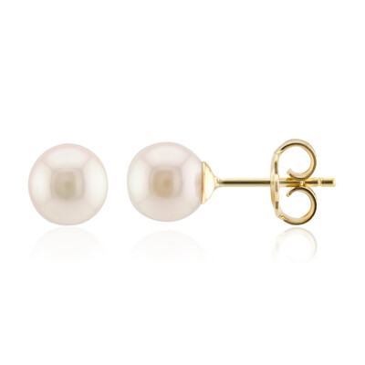 Pendientes en plata con Perla de Akoya (TPC)
