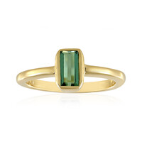 Anillo en plata con Turmalina verde Benedito (Adela Silber)