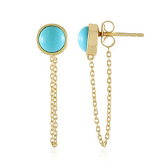 Boucles d'oreilles en argent et Turquoise Sleeping Beauty