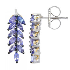 Tanzanite Silver Earrings