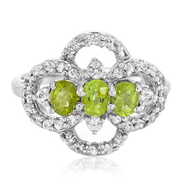 Paraiba-Turmalin-Silberring