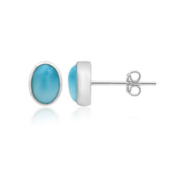 Pendientes en plata con Larimar