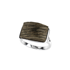Anello in argento con Quercia Nera