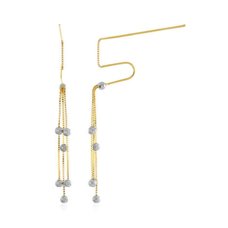 Orecchini in argento