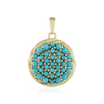 Colgante en plata con Turquesa bella durmiente