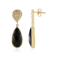 Orecchini in argento con Onice Nero