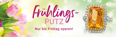 202603_Fruehjahrsputz