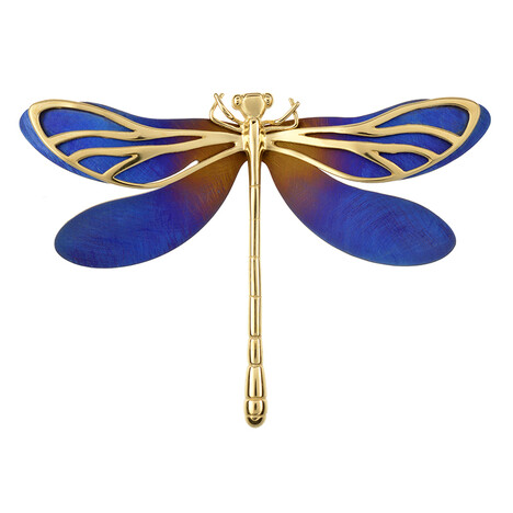 Titanbrosche (dagen)