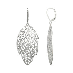 Orecchini in argento