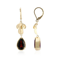 Boucles d'oreilles en argent et Grenat
