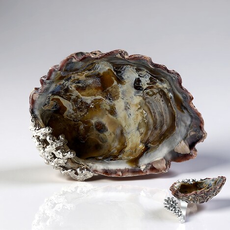 Anello in argento con Conchiglia (TPC)