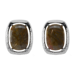 Orecchini in argento con Legno Fossile