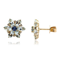 Aquamarin-Goldohrringe