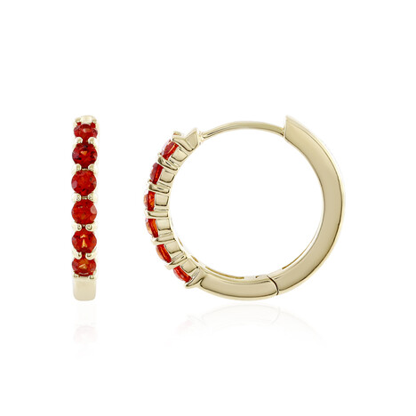 Tansania-Rubin-Goldohrringe