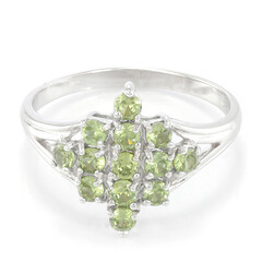 Namibia-Demantoid-Silberring