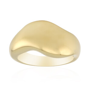 Silberring