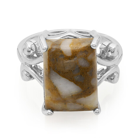 Dinosaur Bone Silver Ring