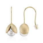 Pendientes en plata con Perla Akoya azul platino (TPC)