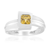 Yellow Zircon Silver Ring (SAELOCANA)