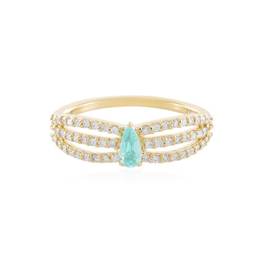 Gouden ring met een Braziliaanse Paraiba toermalijn (AMAYANI)