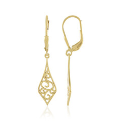 Orecchini in argento