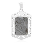 Zilveren hanger met een Aletai meteoriet