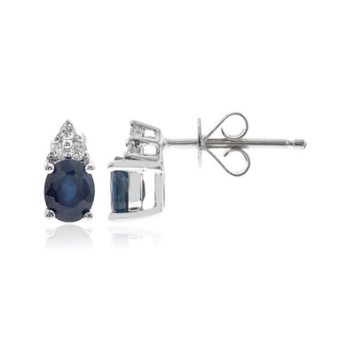 Blauer Ceylon-Saphir-Goldohrringe