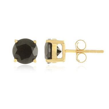 Orecchini in argento con Spinello Nero