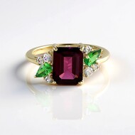 Gouden ring met een Naktamunda rhodoliet