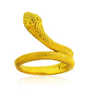 Silberring (Joias do Paraíso)