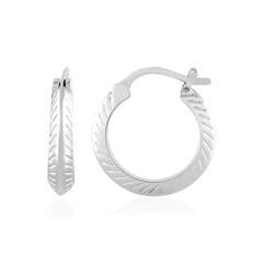 Orecchini in argento