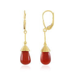 Pendientes en plata con Ónix rojo