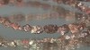 Collar en plata con Diamante color cobre