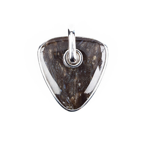 Versteinertes Holz-Silberanhänger