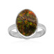 Anello in argento con Ammolite