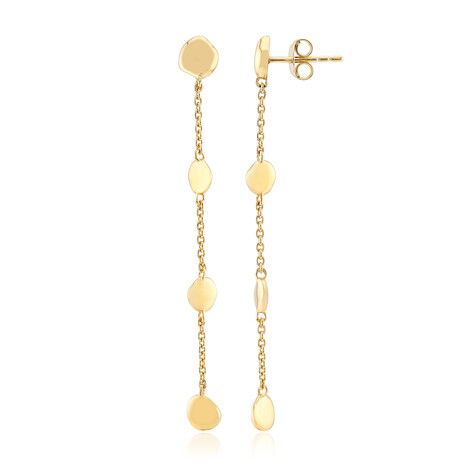 Orecchini in argento