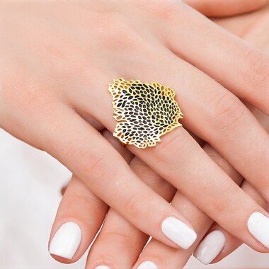 Zilveren ring (TPC)