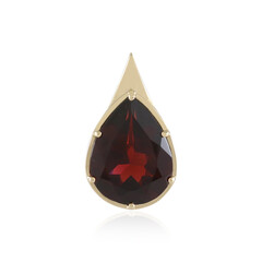 14K Mozambique Garnet Gold Pendant (de Melo)