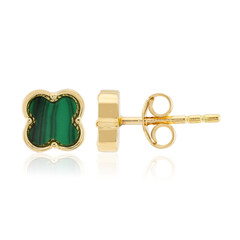 Orecchini in argento con Malachite