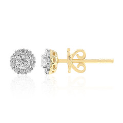 Boucles d'oreilles en or et Diamant VVS1 (G) (Annette)
