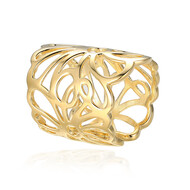 Zilveren ring