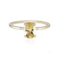 Goldener Beryll-Goldring