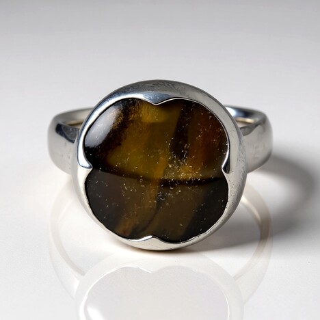 Anello in argento con Legno Fossile