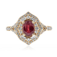 AAA-Mosambik-Rubin-Goldring (CIRARI)