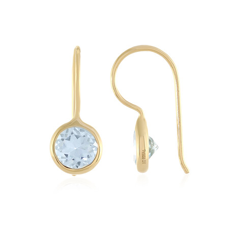 Orecchini in argento con Topazio Blu Cielo